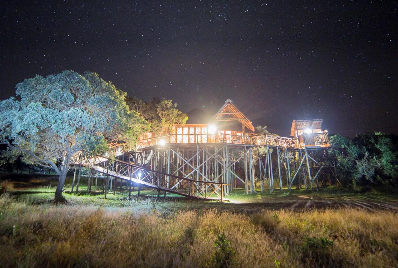 Pezulu Tree House Lodge Hoedspruit Extérieur photo