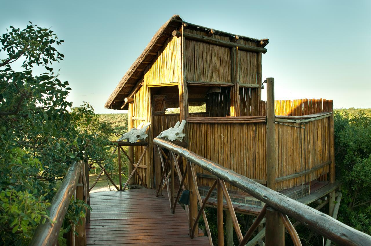 Pezulu Tree House Lodge Hoedspruit Extérieur photo
