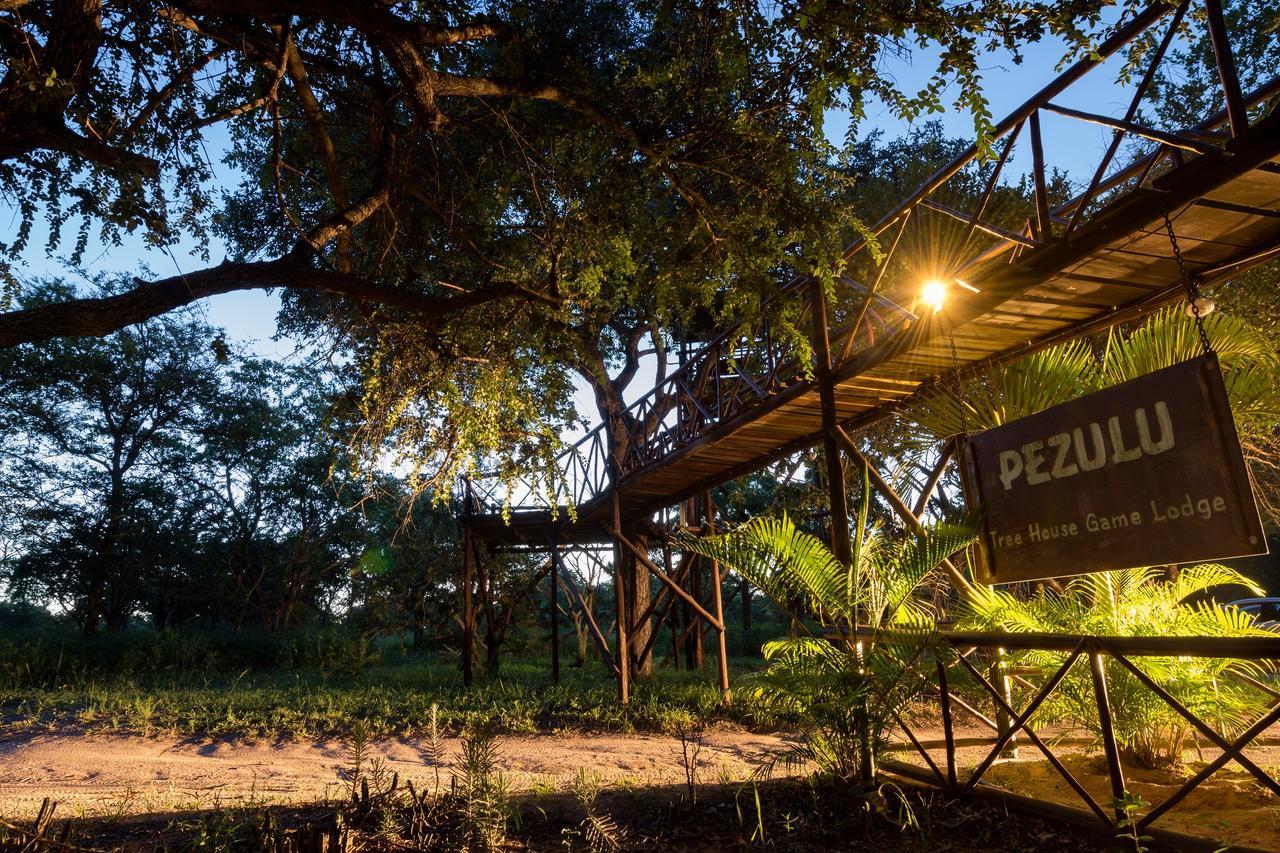 Pezulu Tree House Lodge Hoedspruit Extérieur photo