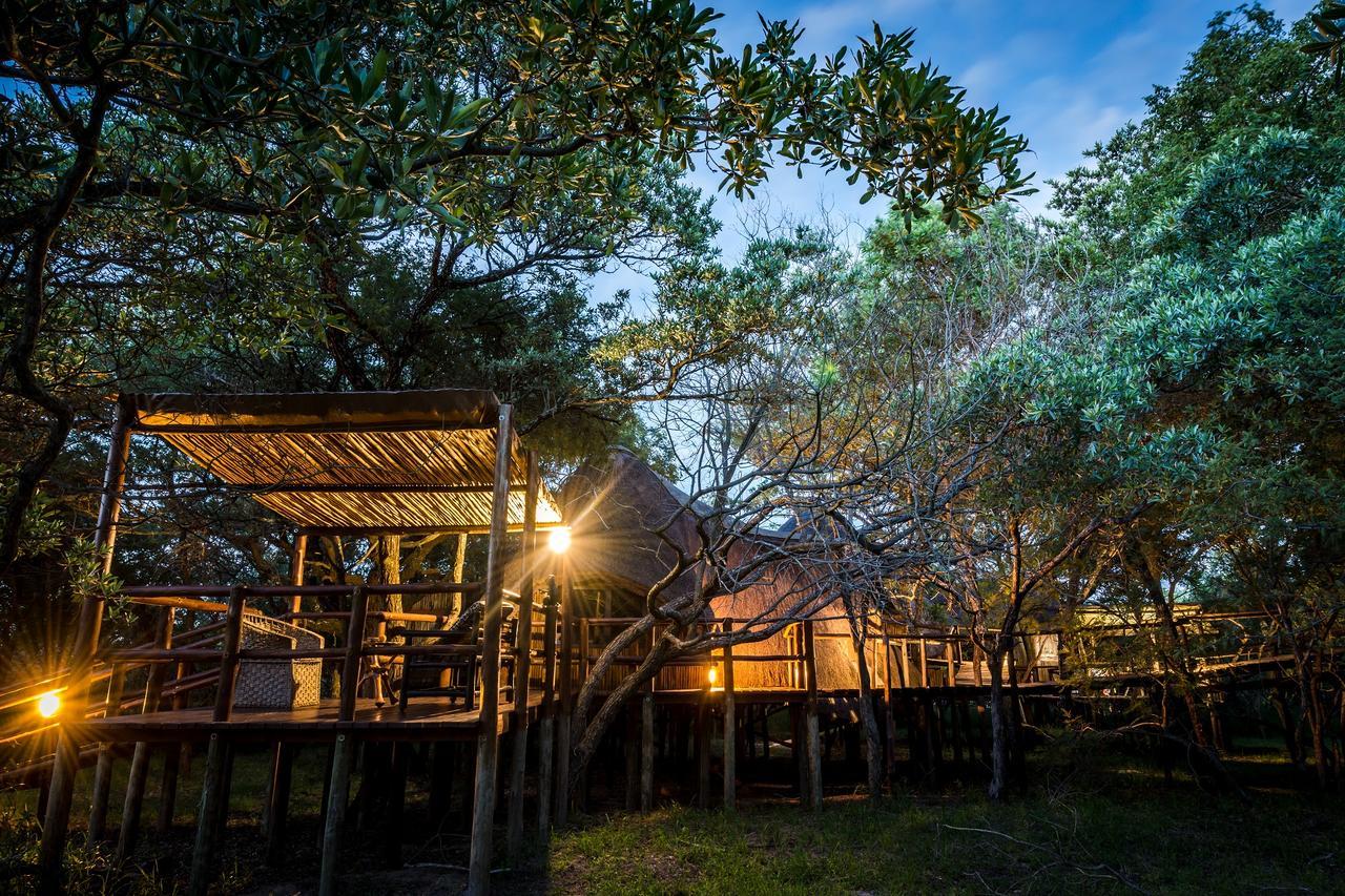 Pezulu Tree House Lodge Hoedspruit Extérieur photo