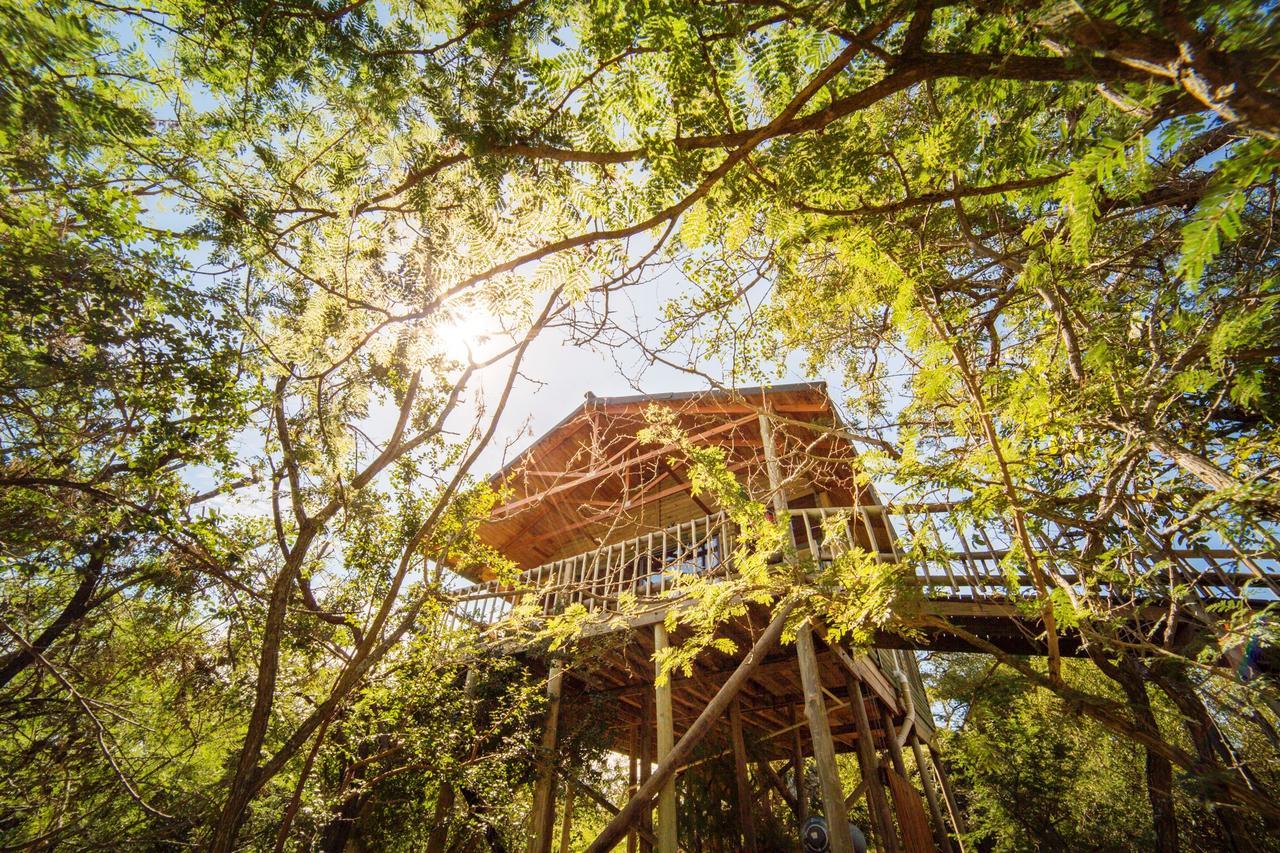 Pezulu Tree House Lodge Hoedspruit Extérieur photo