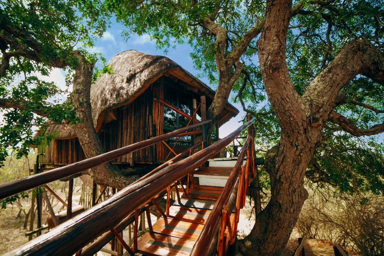 Pezulu Tree House Lodge Hoedspruit Extérieur photo
