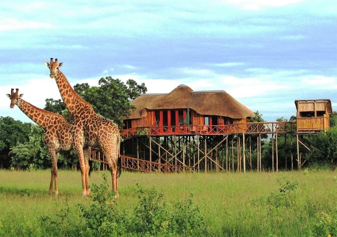 Pezulu Tree House Lodge Hoedspruit Extérieur photo