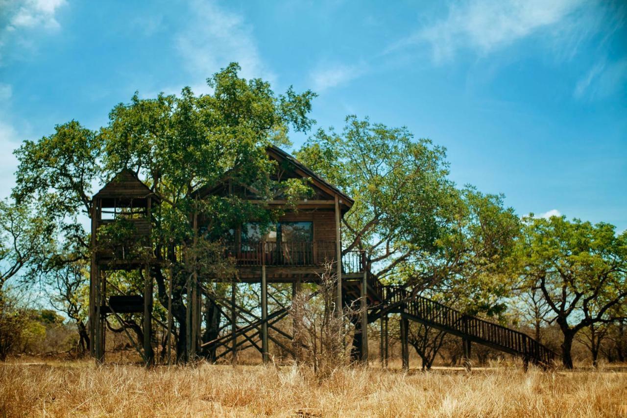 Pezulu Tree House Lodge Hoedspruit Extérieur photo