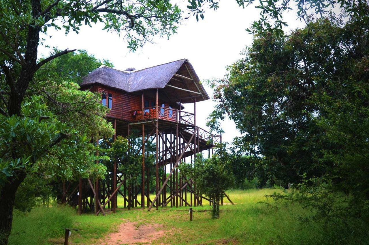 Pezulu Tree House Lodge Hoedspruit Extérieur photo