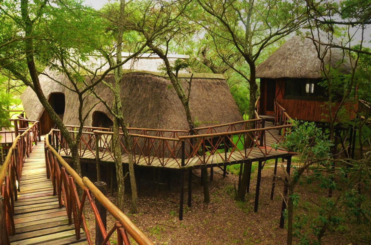 Pezulu Tree House Lodge Hoedspruit Extérieur photo
