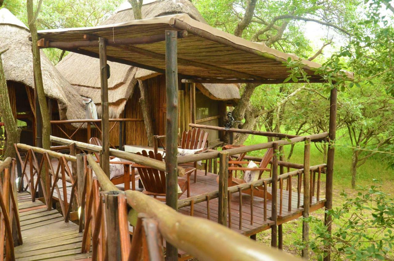 Pezulu Tree House Lodge Hoedspruit Extérieur photo