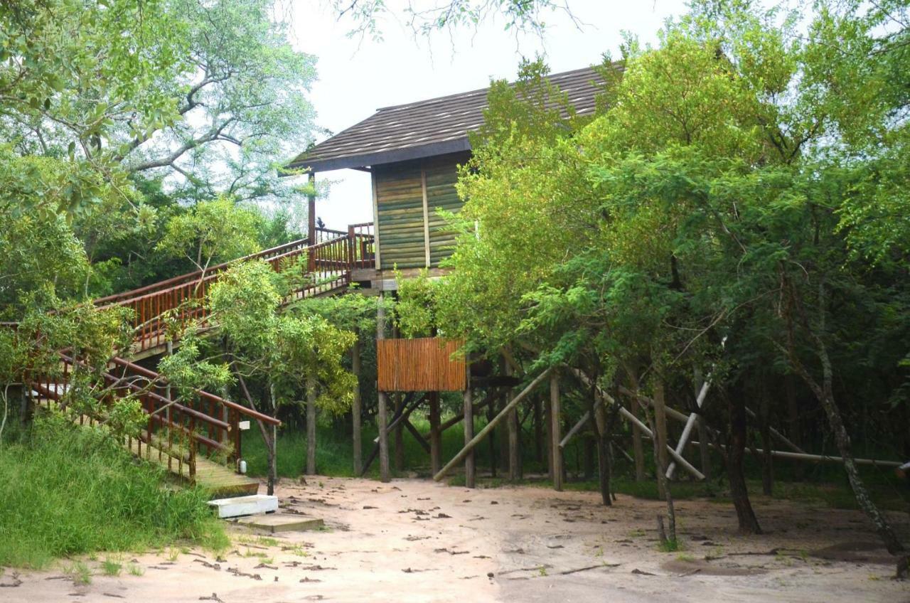 Pezulu Tree House Lodge Hoedspruit Extérieur photo