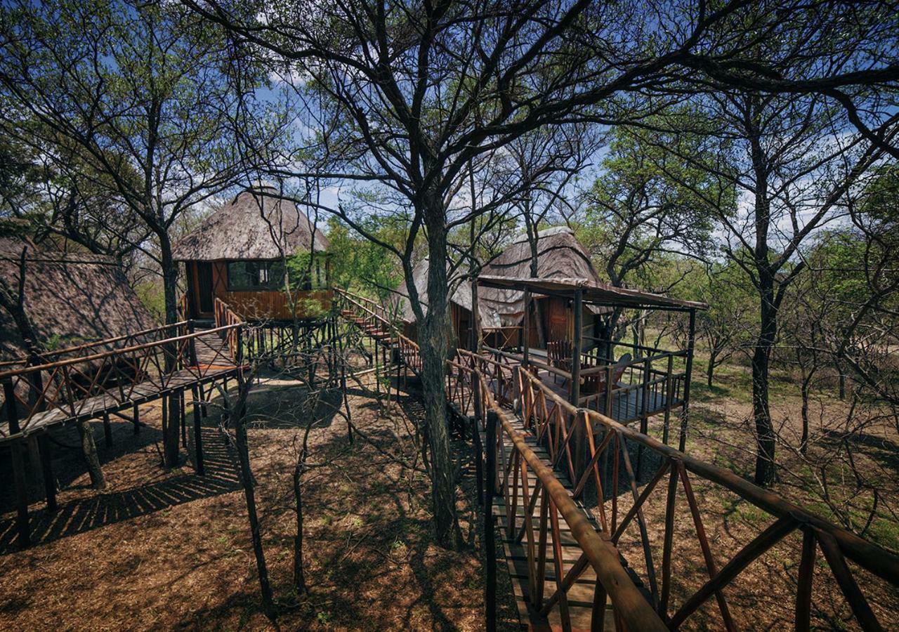 Pezulu Tree House Lodge Hoedspruit Extérieur photo